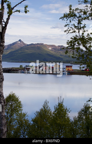 Piccolo porto in un fiordo vicino al villaggio di Sortland, Langoya isola arcipelago Vesteralen Troms, Nordland county, Norvegia Foto Stock