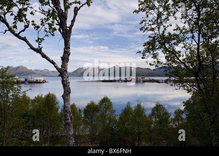 Piccolo porto in un fiordo vicino al villaggio di Sortland, Langoya isola arcipelago Vesteralen Troms, Nordland county, Norvegia Foto Stock