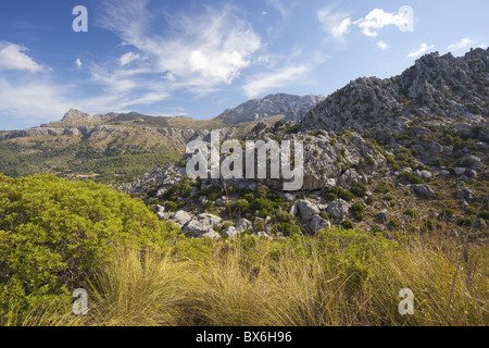 Vall de Son Marzo, Nord di Maiorca, isole Baleari, Spagna, Europa Foto Stock