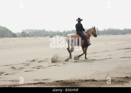 Passeggiate a cavallo sulla spiaggia, Tainan, Taiwan Foto Stock