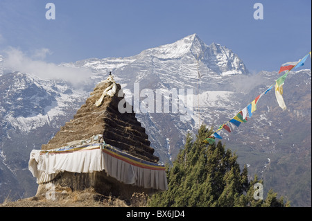 Chorten, Solu Khumbu Everest Regione, Parco Nazionale di Sagarmatha, Nepal, Asia Foto Stock