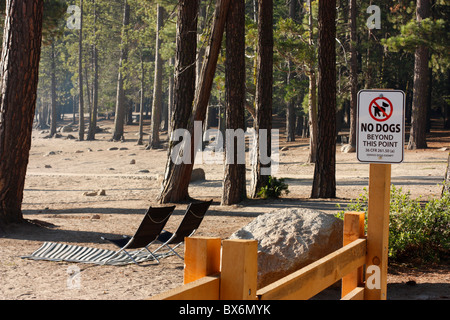 Un No cani segno a Pinecrest Lago, Tuolumne County, California, Stanislaus National Forest Foto Stock