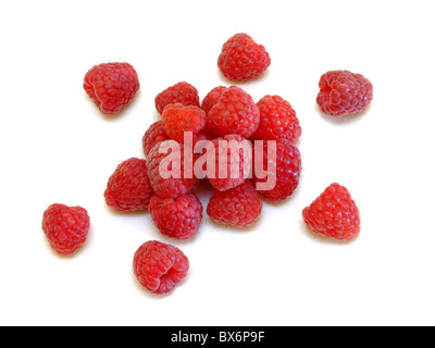 Himbeeren / lamponi (Rubus idaeus) Foto Stock
