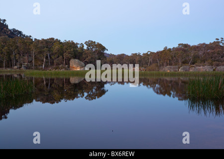 Dunns palude al tramonto nel Wollemi National Park, Rylstone, Nuovo Galles del Sud Foto Stock