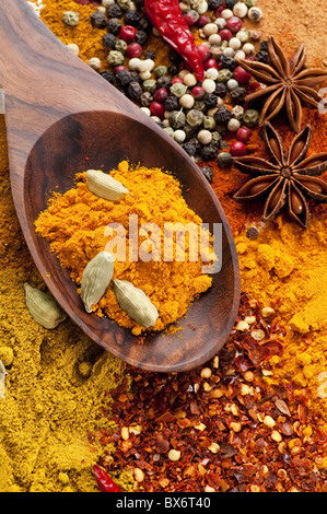 Arbusti di spezie colorate mix di diverse potenze e grano e teak cucchiaio come closeup Foto Stock