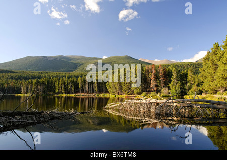 Ratti Sprague Lake, il Parco Nazionale delle Montagne Rocciose, Estes Park, COLORADO, Stati Uniti d'America Foto Stock