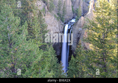 Torre cade, il Parco Nazionale di Yellowstone, Wyoming USA Foto Stock