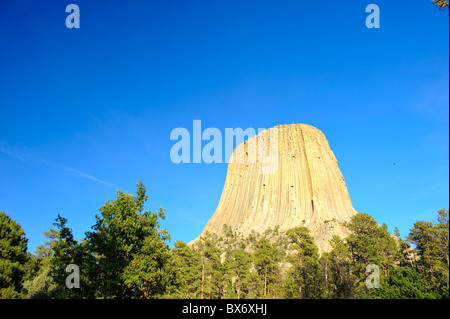 Devil's Tower monumento nazionale, Wyoming USA Foto Stock