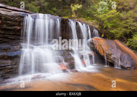Cascata a sommità di Wentworth Falls, il Parco Nazionale Blue Mountains, Nuovo Galles del Sud Foto Stock