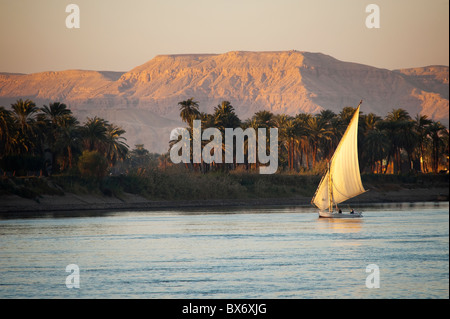 Un incredibile e una bella immagine di un tradizionale Egiziana sail boat chiamato una feluca sul Nilo al tramonto con le montagne alle spalle Foto Stock