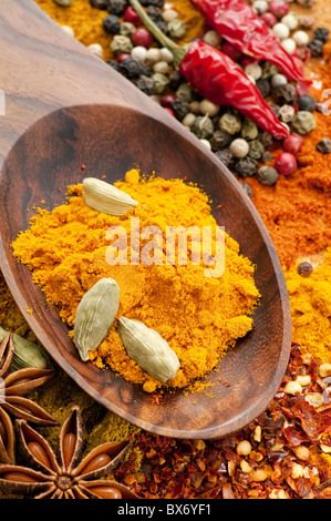 Arbusti di spezie colorate mix di diverse potenze e grano e teak cucchiaio come closeup Foto Stock