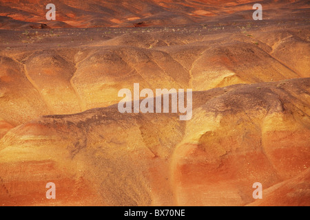 Deserto dei Gobi vicino Gurvantes .Gurvan Saikhan Parco Nazionale ,Mongolia Foto Stock