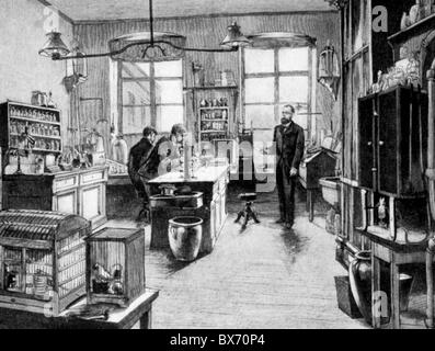 Koch, Robert, 11.12.1843 - 27. 5.1910, medico tedesco, in laboratorio, incisione su legno, 19th secolo, Foto Stock