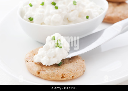 Il formaggio su un cracker come closeup su sfondo bianco Foto Stock