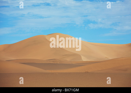 Deserto di sabbia Khongoryn Els, Gobi, Gurvan Saikhan Parco Nazionale vicino Gurvantes Foto Stock