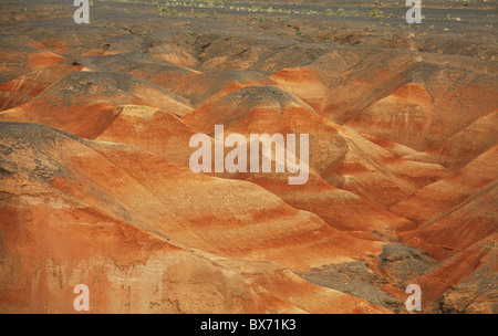 Deserto dei Gobi vicino Gurvantes .Gurvan Saikhan Parco Nazionale ,Mongolia Foto Stock