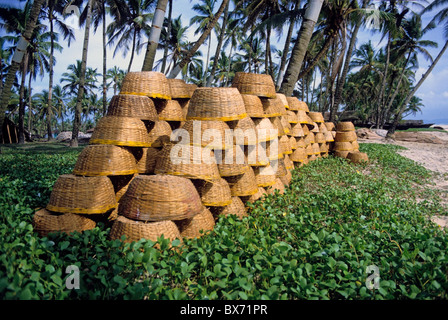 Pile di ceste di pesca essiccazione su Colva Beach, Goa, India. Foto Stock