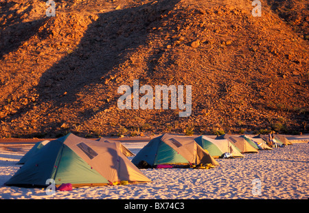 Tour in kayak campo base a Candelera sulla spiaggia di Espiritu Santo isola nel mare di Cortez vicino a La Paz, Baja California Sur, Messico. Foto Stock