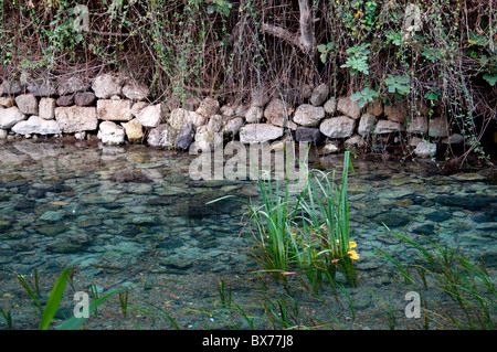 L'Hermon fiume molle, una sorgente del fiume Jordon. Foto Stock