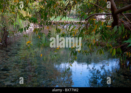 L'Hermon fiume molle, una sorgente del fiume Jordon. Foto Stock