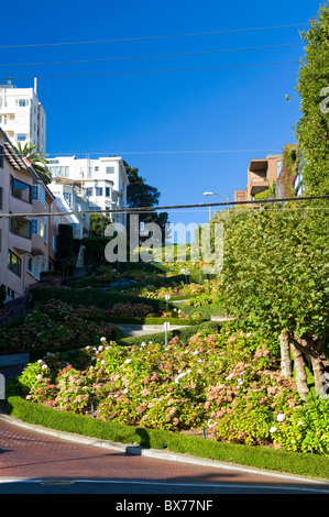 Stati Uniti, California, San Francisco, Lombard Street Foto Stock