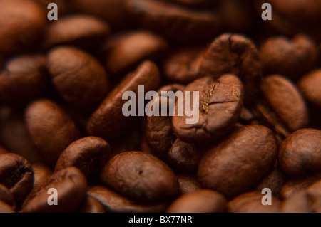 Bella marrone caffè in grani, chiudi immagine in alto Foto Stock