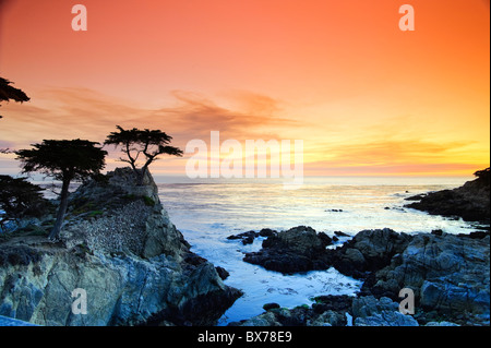 Stati Uniti, California, Monterey Peninsula, 17 Mile Drive, Lone Cypress Foto Stock