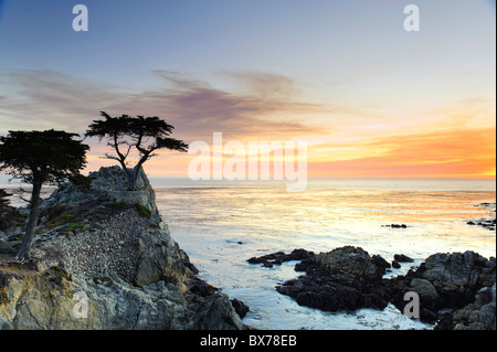 Stati Uniti, California, Monterey Peninsula, 17 Mile Drive, Lone Cypress Foto Stock