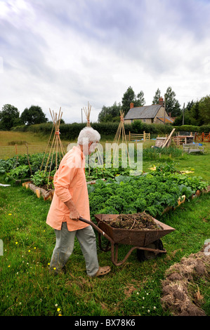 Il giardino del mercato al co-comunità di alloggiamento in corrispondenza di Cole Street Agriturismo vicino a Gillingham, DORSET REGNO UNITO Foto Stock