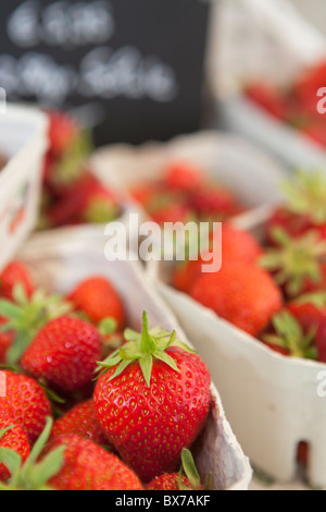 Le fragole su un mercato Foto Stock