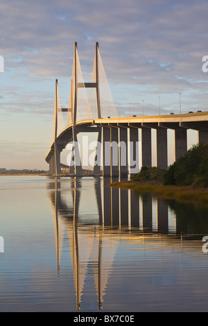 Sidney Lanier un ponte sospeso con cavi di ponte che attraversa il sud del fiume Brunswick in Brunswick, Georgia Foto Stock