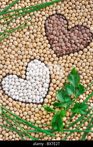 Lenticchie, fagioli di soia, i fagioli con le erbe - Concetto di impulso - dettaglio - dal di sopra Foto Stock