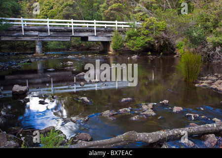Fiume di immersione nel bagno di immersione riserva forestale vicino a Stanley, Tasmania Foto Stock