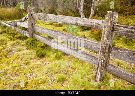 Antica recinzione, Cradle Mountain, Cradle Mountain Lake St Clair National Park, la Tasmania Foto Stock