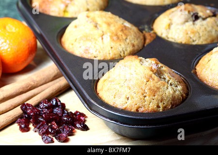 Deliziosi Biscotti con mirtilli rossi, cannella e arancio Foto Stock