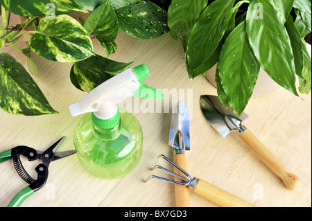 Utensili da giardinaggio e houseplants - still life Foto Stock