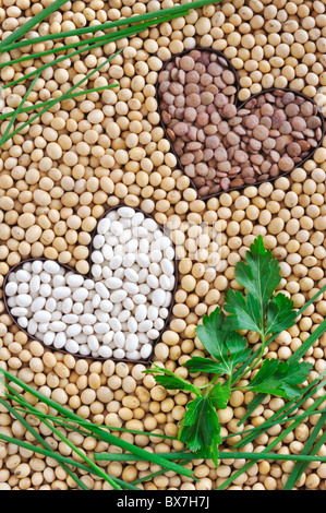 Lenticchie, fagioli di soia, i fagioli con le erbe - Concetto di impulso Foto Stock