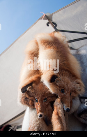 Pelliccia di volpe/pelle negozio di souvenir in vendita su uno stallo a Helsinki in Finlandia. Foto Stock