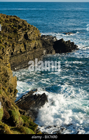 Dh Grim Ness SOUTH RONALDSAY ORKNEY Seawave schizzi sulle rocce di mare mosso seacliffs Foto Stock