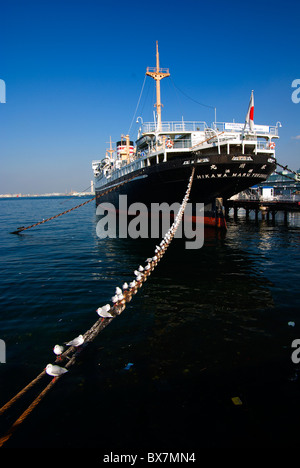 Gabbiani seduta sul anker catena del hikawa maru a Yokohama, Giappone Foto Stock