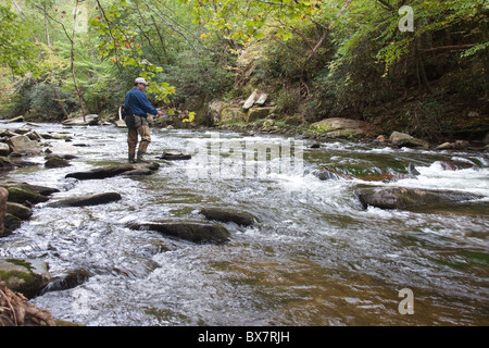 Lone pescatore a mosca sul fiume Oconaluftee vicino Cherokee, North Carolina, STATI UNITI D'AMERICA Foto Stock