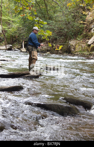 Lone pescatore a mosca sul fiume Oconaluftee vicino Cherokee, North Carolina, STATI UNITI D'AMERICA Foto Stock