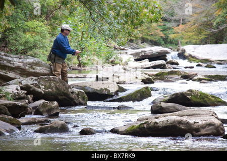 Lone pescatore a mosca sul fiume Oconaluftee vicino Cherokee, North Carolina, STATI UNITI D'AMERICA Foto Stock