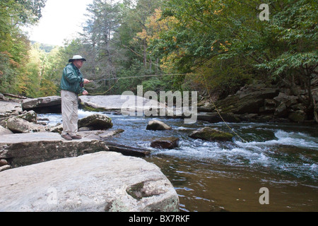 Lone pescatore a mosca sul fiume Oconaluftee vicino Cherokee, North Carolina, STATI UNITI D'AMERICA Foto Stock