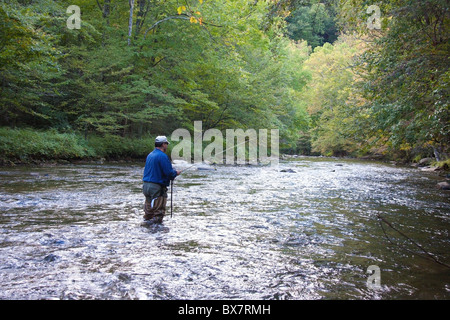 Lone pescatore a mosca sul fiume Oconaluftee vicino Cherokee, North Carolina, STATI UNITI D'AMERICA Foto Stock