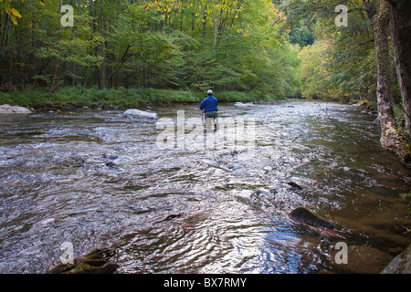Lone pescatore a mosca sul fiume Oconaluftee vicino Cherokee, North Carolina, STATI UNITI D'AMERICA Foto Stock
