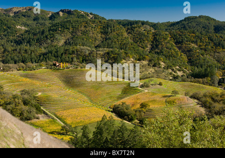 Colore di autunno nella Napa Valley vigneti, sopra Calistoga nelle montagne Pallisade; California. Foto Stock