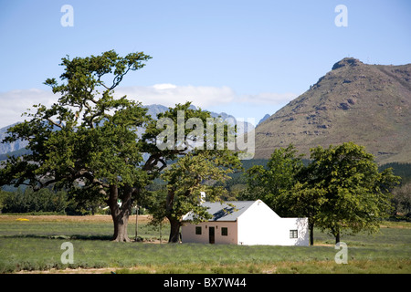 Agriturismo sulla Fattoria di Lavanda - Franschhoek Foto Stock