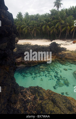 Rockpools, sabbia bianca e palme da cocco a distanza spiaggia di Dolly, Christmas Island National Park, Oceano Indiano Foto Stock