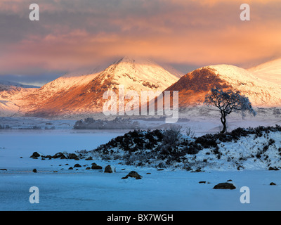 Alba di Clach Leathad oltre a frozen Lochan na h'Achlaise sul bordo di Rannoch Moor nelle Highlands scozzesi Foto Stock